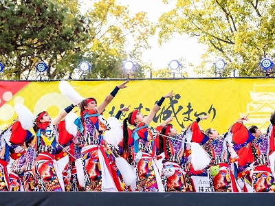 薩摩源氏蛍の写真